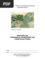 Controle Fitossanit Hortic Ecolog2006