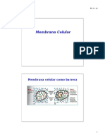 Membranas y Citoesqueleto