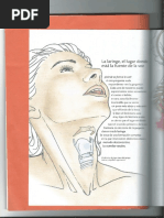 Anatomia Para El Movimiento Tomo 2 autora Blandine Calais ...