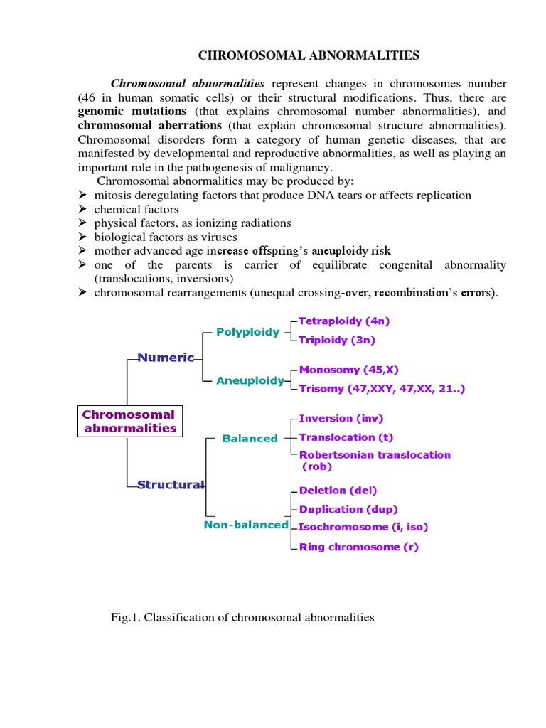 Chromosomal Abnormalities Pdf Ploidy Chromosome