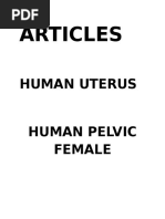 Articles: Human Uterus