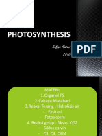 3 Photosynthesis