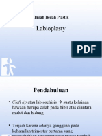 Ilmiah Bedah Plastik Labioplasty (kurang dari