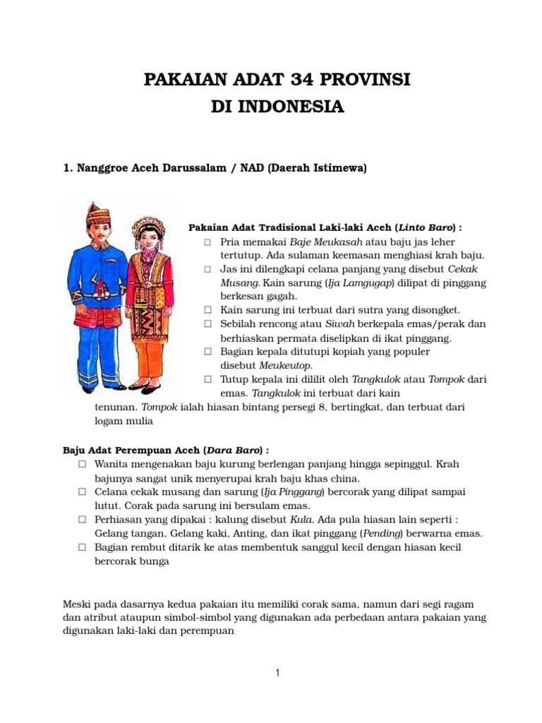  PAKAIAN  ADAT  34  PROVINSI  DI INDONESIA docx