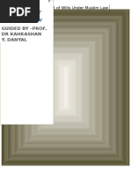 PDF Document