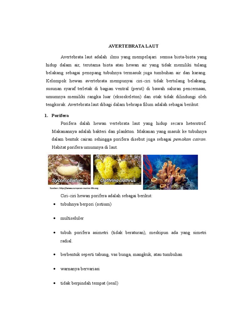 53 Gambar Ciri Ciri Hewan Avertebrata Terbaik