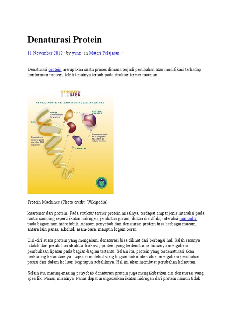 Denaturasi Protein Pdf