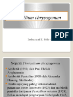 PPT Penicillium chryzogenum