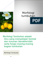 Morfologi Daun