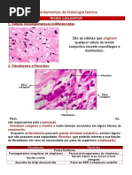 Apontamentos de Histologia Teórica