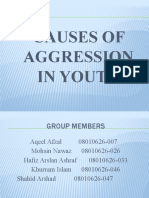 Agression in Youth 