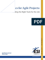 ESI Metrics For Agile Projects
