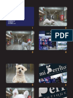 Story Board Mi Perrito