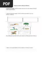 Fuerza Por Contacto y Fuerza Por Distancia