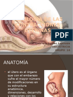 fisiologiadelascontraccionesuterinas-110215171630-phpapp02.pptx