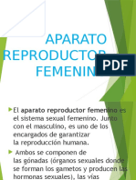 Aparato Reproductor Femenino