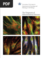 Mitochondrial Disease