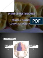 Lesiones Oclusales