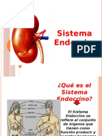 Sistema End Ocr i No