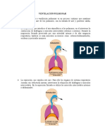Ventilación Pulmonar