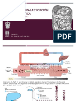 Síndrome de Malabsorción y Úlcera Péptica