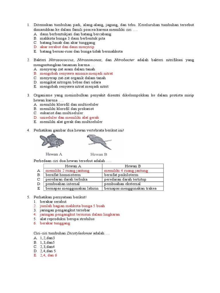 770+ Perhatikan Gambar Dua Hewan Vertebrata Berikut Ini HD Terbaik