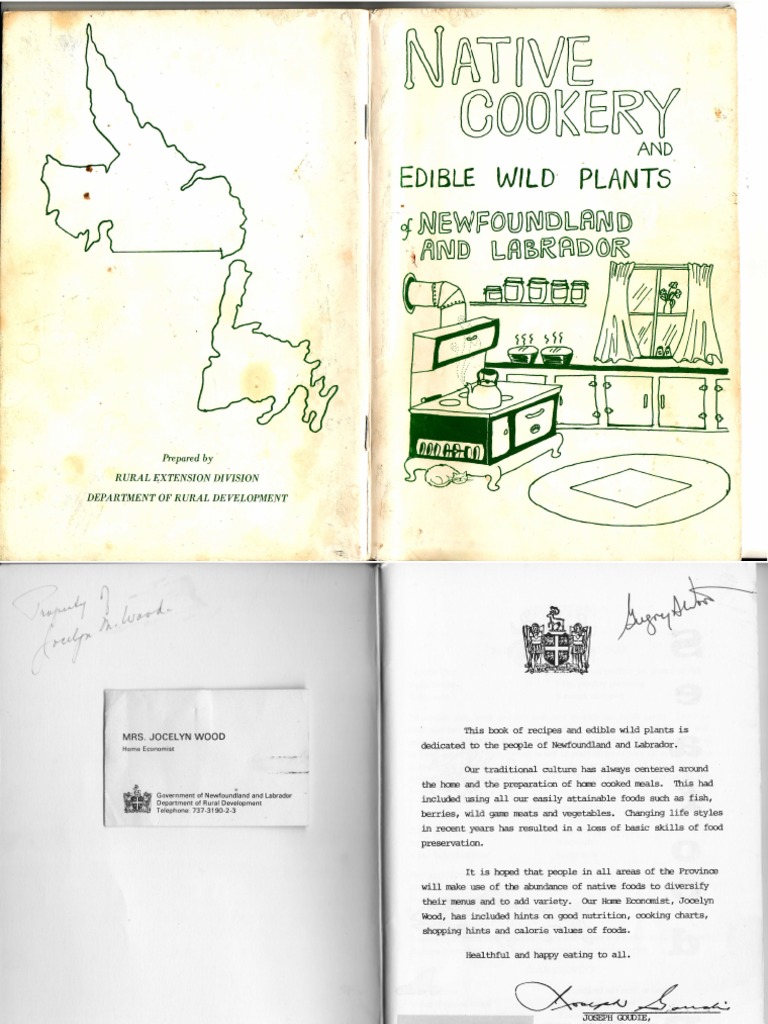 Native Cookery and Edible Wild Plants PDF Pickling Fruit Preserves