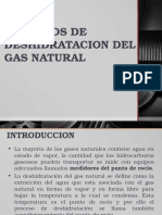 Proceso de Deshidratación.pptx