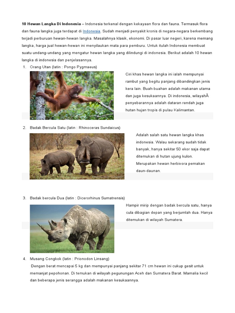 10 Hewan Dan Tumbuhan Langka Di Indonesia