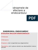 Curs Endocardita