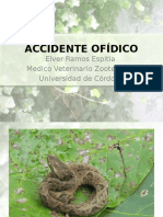 Accidente Ofidico