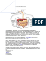 Anatomi Saluran Pencernaan Dan Peritoneum