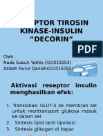 Reseptor Tirosin Kinase-Insulin