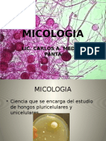 Micologia Generalidades