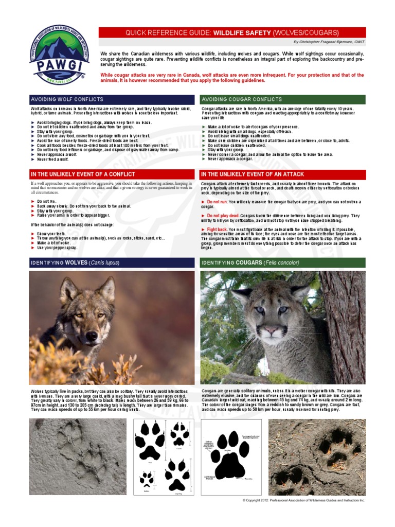 Quick Reference Guide Wildlife Safety Wolvescougars Avoiding Wolf