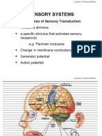 Sensory Systems: 1. General Principles of Sensory Transduction