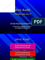 Audit1 03 Jenis