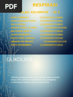 Download Transpor Elektron Ppt by Dony Firman Fajariza SN330661188 doc pdf