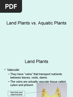Land Plants vs Aquatic Plants
