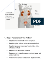 Lecture 12 Kidney