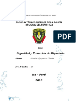 Seguridad y Proteccion de Dignatario.docx