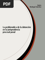 030-La Problemática de La Detención en La Jurisprudencia Procesal Penal