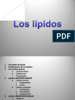 Lipidos 2016 Ok