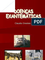 Doenças Exantemáticas