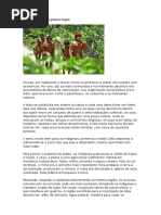 Como Viviam Os Povos Tupis