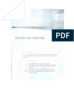 11241908Estudio de Mercado Ib.pdf