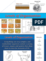 1 levels of organization
