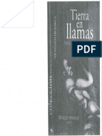 Ansaldi Waldi Tierra en Llamas PDF