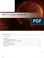 BGP in Large Networks