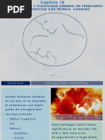 Cap 18. - Neurodesarrollo y Programa Madre Canguro